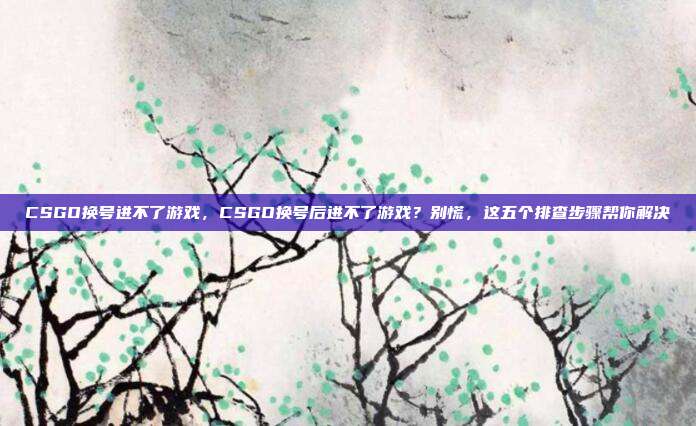 CSGO换号进不了游戏,CSGO换号后进不了游戏?别慌,这五个排查步骤帮你解决