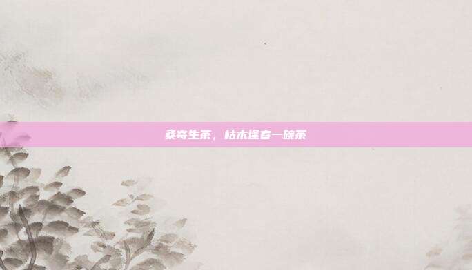 桑寄生茶,枯木逢春一碗茶