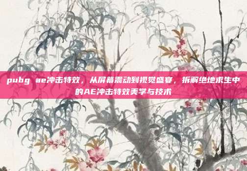 pubg ae冲击特效,从屏幕震动到视觉盛宴,拆解绝地求生中的AE冲击特效美学与技术
