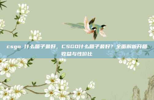 csgo 什么箱子最好,CSGO什么箱子最好?全面解析开箱收益与性价比