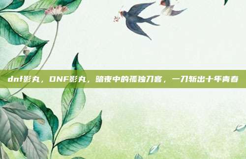 dnf影丸,DNF影丸,暗夜中的孤独刀客,一刀斩出十年青春