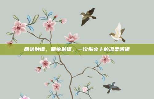 萌娘触摸,萌娘触摸,一次指尖上的温柔邂逅