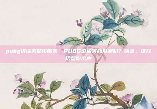 pubg讲话突然没喇叭,PUBG讲话突然没喇叭?别急,这几招帮你出声