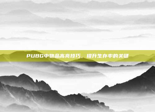 PUBG中物品高亮技巧,提升生存率的关键