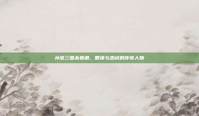 孙坚三国杀鲁肃,智谋与忠诚的传奇人物