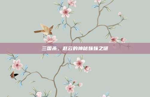 三国杀,赵云的神秘妹妹之谜