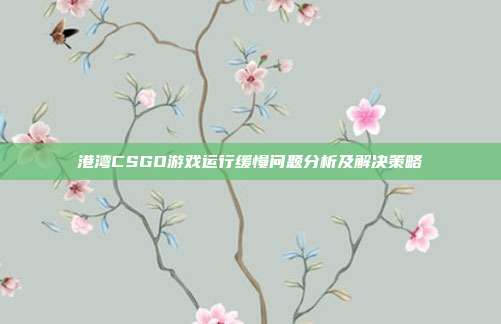 港湾CSGO游戏运行缓慢问题分析及解决策略