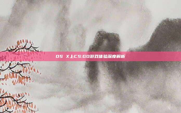 OS X上CS:GO游戏体验深度解析