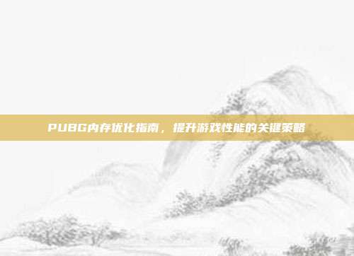 PUBG内存优化指南,提升游戏性能的关键策略