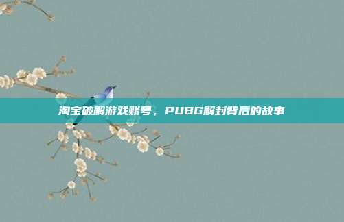 淘宝破解游戏账号,PUBG解封背后的故事