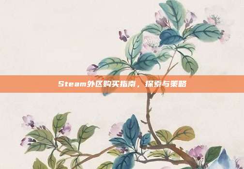 Steam外区购买指南,探索与策略