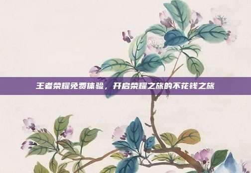 王者荣耀免费体验,开启荣耀之旅的不花钱之旅