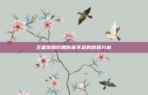 王者荣耀后期伤害不足的原因分析