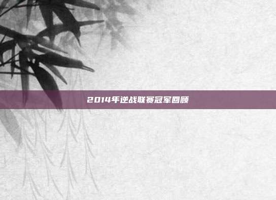 2014年逆战联赛冠军回顾