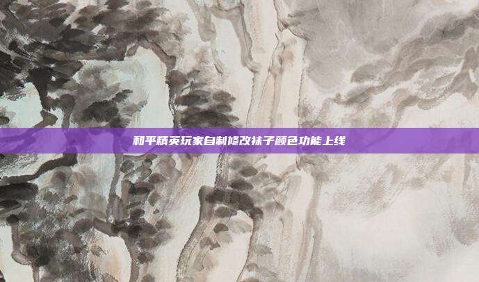 和平精英玩家自制修改袜子颜色功能上线