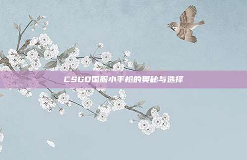 CSGO国服小手枪的奥秘与选择