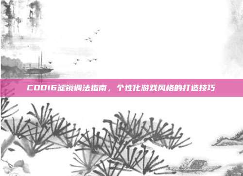 COD16滤镜调法指南,个性化游戏风格的打造技巧