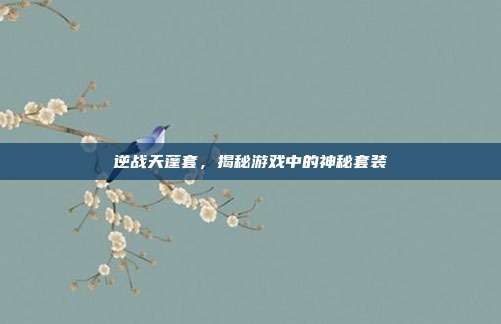 逆战天蓬套,揭秘游戏中的神秘套装