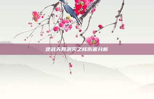 逆战天网泯灭之核伤害分析