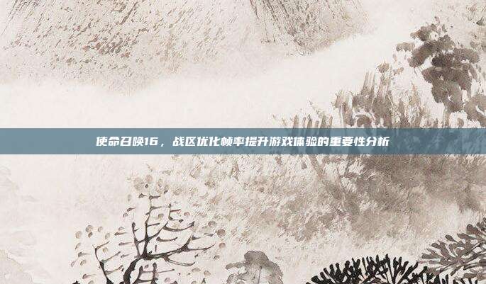 使命召唤16,战区优化帧率提升游戏体验的重要性分析