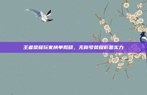 王者荣耀玩家榜单揭晓,无称号荣耀彰显实力