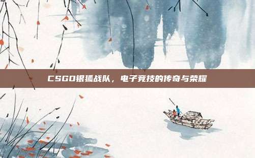 CSGO银狐战队,电子竞技的传奇与荣耀