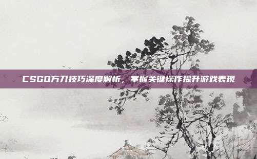 CSGO方刀技巧深度解析,掌握关键操作提升游戏表现