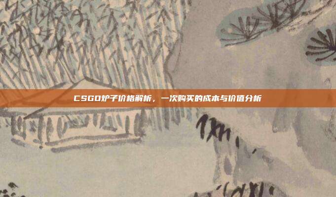 CSGO炉子价格解析,一次购买的成本与价值分析