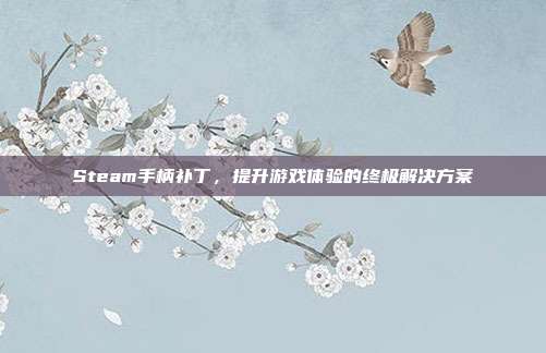 Steam手柄补丁,提升游戏体验的终极解决方案