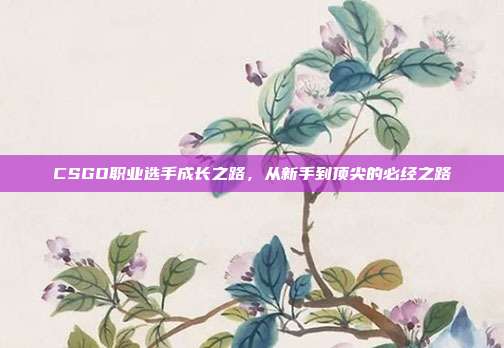 CSGO职业选手成长之路,从新手到顶尖的必经之路