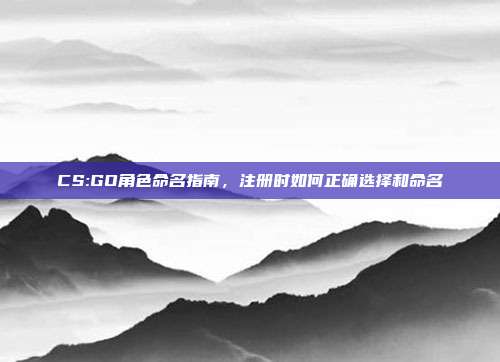 CS:GO角色命名指南,注册时如何正确选择和命名