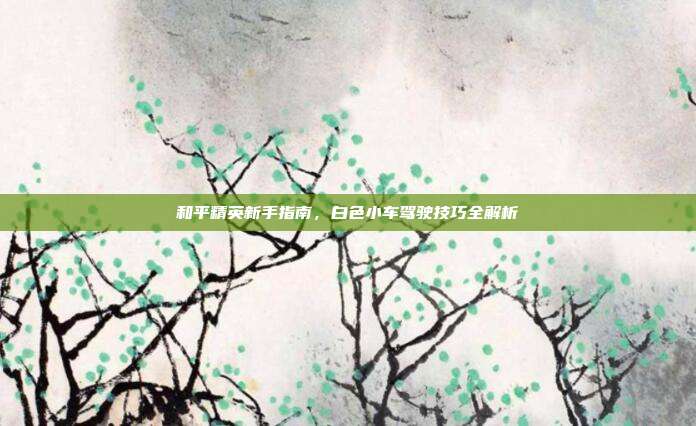 和平精英新手指南,白色小车驾驶技巧全解析