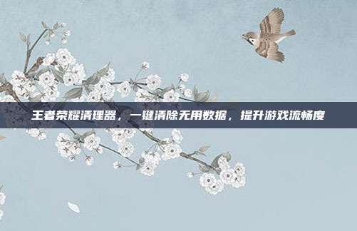 王者荣耀清理器,一键清除无用数据,提升游戏流畅度