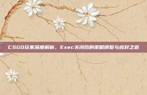 CSGO玩家深度解析,Exec关闭后的策略调整与应对之道