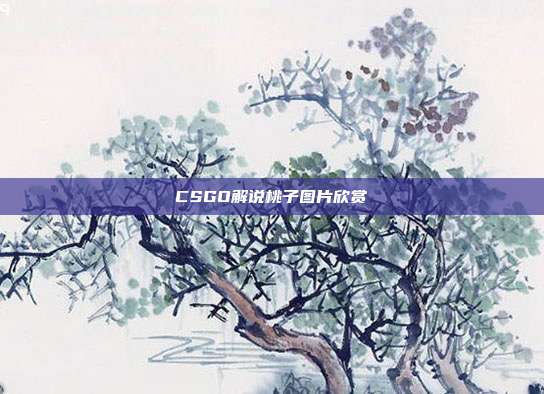 CSGO解说桃子图片欣赏