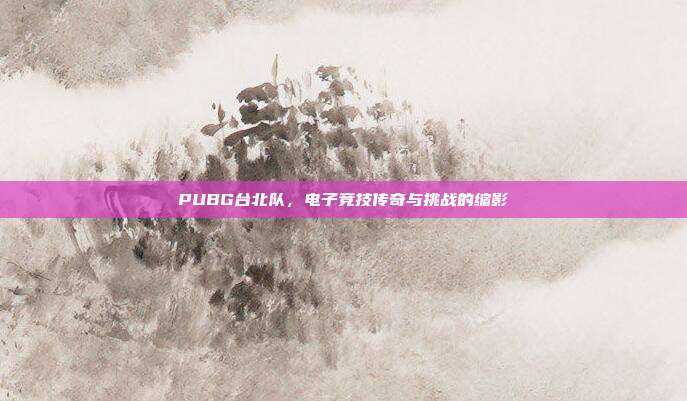 PUBG台北队,电子竞技传奇与挑战的缩影