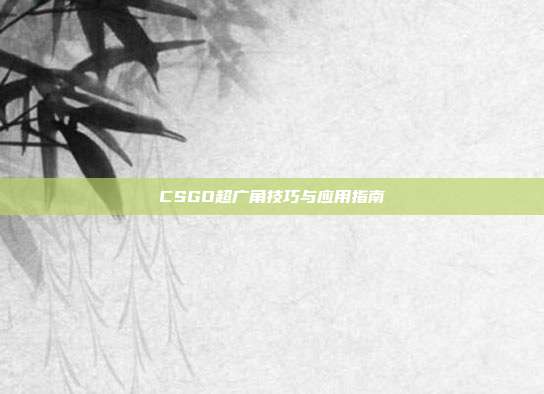 CSGO超广角技巧与应用指南