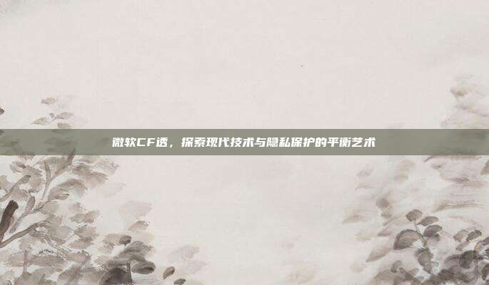 微软CF透,探索现代技术与隐私保护的平衡艺术