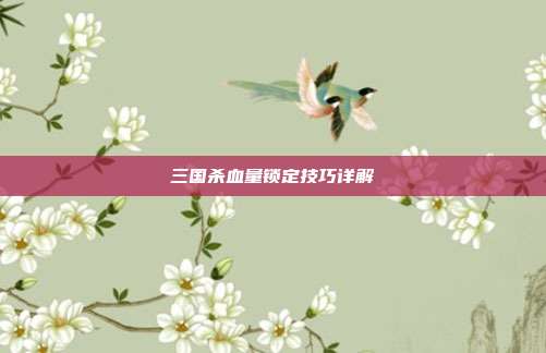 三国杀血量锁定技巧详解