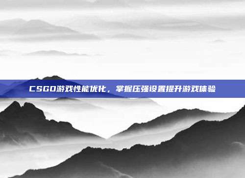 CSGO游戏性能优化,掌握压强设置提升游戏体验