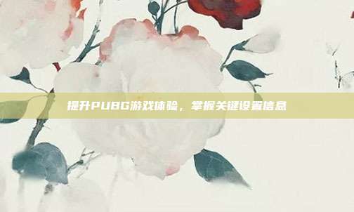 提升PUBG游戏体验,掌握关键设置信息
