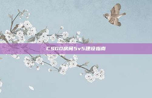 CSGO房间5v5建设指南