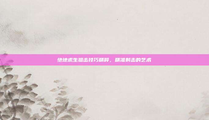 绝地求生狙击技巧精粹,精准射击的艺术