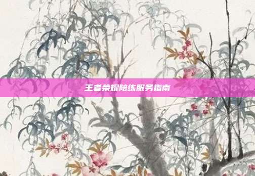 王者荣耀陪练服务指南