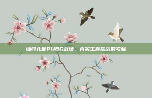 缅甸北部PUBG战场,真实生存挑战的考验
