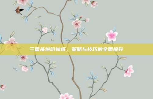 三国杀进阶神将,策略与技巧的全面提升