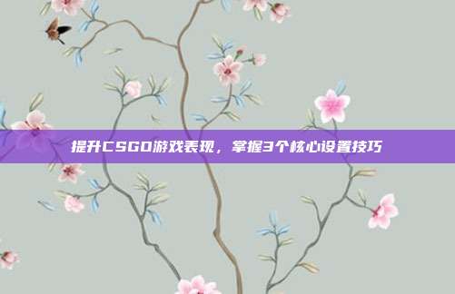 提升CSGO游戏表现,掌握3个核心设置技巧