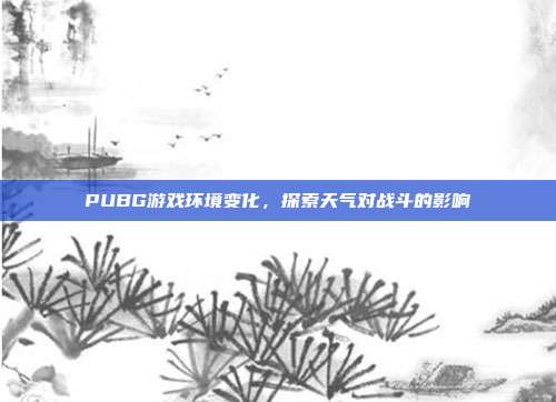 PUBG游戏环境变化,探索天气对战斗的影响