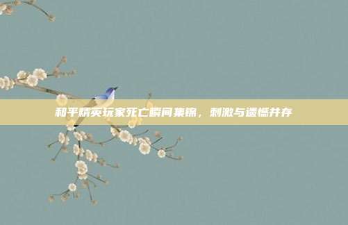 和平精英玩家死亡瞬间集锦,刺激与遗憾并存