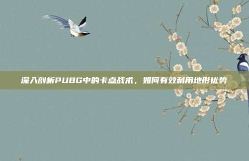 深入剖析PUBG中的卡点战术,如何有效利用地形优势